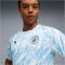 PUMA Manchester City FC Aufwärmshirt 2025/26 Herren