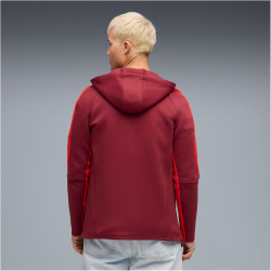 PUMA FC Red Bull Salzburg Evostripe Kapuzenjacke Herren