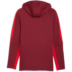 PUMA FC Red Bull Salzburg Evostripe Kapuzenjacke Herren