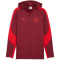 PUMA FC Red Bull Salzburg Evostripe Kapuzenjacke Herren