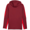 PUMA FC Red Bull Salzburg Evostripe Kapuzenjacke Herren