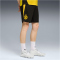 PUMA BVB Borussia Dortmund Trainingsshorts 2025/26 Herren
