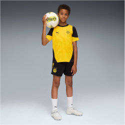 PUMA BVB Borussia Dortmund Trainingsshirt 2025/26 Kinder