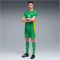 PUMA BVB Borussia Dortmund Torwartshorts 2025/26 Herren
