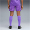 PUMA Borussia Mönchengladbach Torwartshorts 2025/26 Herren