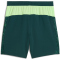 PUMA Manchester City FC Shorts 2025/26 Herren