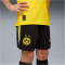 PUMA BVB Borussia Dortmund Shorts 2025/26 Kinder