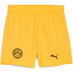PUMA BVB Borussia Dortmund Shorts 2025/26 Kinder
