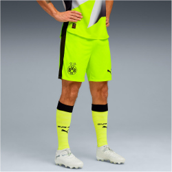 PUMA BVB Borussia Dortmund Shorts 2025/26 Herren