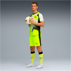 PUMA BVB Borussia Dortmund Shorts 2025/26 Herren