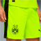 PUMA BVB Borussia Dortmund Shorts 2025/26 Herren