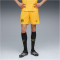 PUMA BVB Borussia Dortmund Shorts 2025/26 Herren