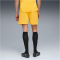 PUMA BVB Borussia Dortmund Shorts 2025/26 Herren