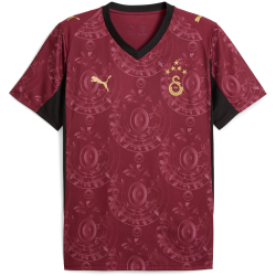 PUMA Galatasaray Istanbul Ausweichtrikot 2025/26 ohne Sponsor Herren