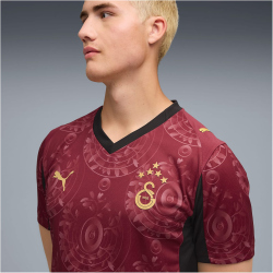 PUMA Galatasaray Istanbul Ausweichtrikot 2025/26 ohne Sponsor Herren