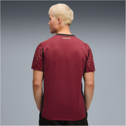 PUMA Galatasaray Istanbul Ausweichtrikot 2025/26 ohne Sponsor Herren