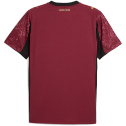 PUMA Galatasaray Istanbul Ausweichtrikot 2025/26 ohne Sponsor Herren