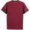 PUMA Galatasaray Istanbul Ausweichtrikot 2025/26 ohne Sponsor Herren