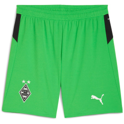 PUMA Borussia Mönchengladbach Shorts 2025/26 Herren