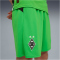 PUMA Borussia Mönchengladbach Shorts 2025/26 Herren
