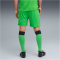 PUMA Borussia Mönchengladbach Shorts 2025/26 Herren