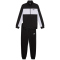 PUMA Polyester Colorblock Trainingsanzug Herren