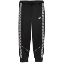 PUMA teamKING Anthem Trainingshose Herren
