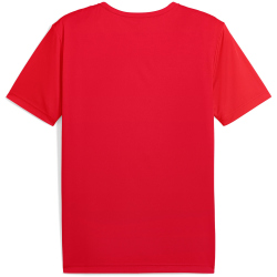 PUMA individualRISE Graphic Trikot Herren