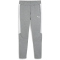 PUMA teamEVOSTRIPE Jogginghose Kinder