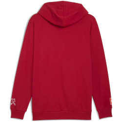 PUMA SFV Schweiz FtblCulture Hoodie Herren 02 - dark...