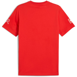 PUMA SFV Schweiz FtblCulture T-Shirt Herren 01 - PUMA...