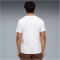 PUMA FC St. Pauli King T-Shirt Herren 02 - PUMA white/espresso brown S