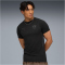 PUMA FC St. Pauli Evostripe T-Shirt Herren 12 - PUMA black/flat dark gray S