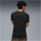 PUMA FC St. Pauli Evostripe T-Shirt Herren 12 - PUMA black/flat dark gray S