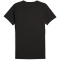 PUMA FC St. Pauli Evostripe T-Shirt Herren 12 - PUMA black/flat dark gray S