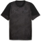 PUMA FC St. Pauli Trainingsshirt 2025/26 Herren 12 - PUMA black/flat dark gray S