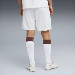 PUMA FC St. Pauli Shorts 2025/26 Herren 02 - PUMA white/espresso brown XL