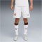 PUMA FC St. Pauli Shorts 2025/26 Herren 02 - PUMA white/espresso brown XL