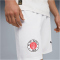 PUMA FC St. Pauli Shorts 2025/26 Herren 02 - PUMA white/espresso brown XL