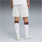 PUMA FC St. Pauli Shorts 2025/26 Herren 02 - PUMA white/espresso brown XL