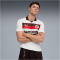 PUMA FC St. Pauli Auswärtstrikot 2025/26 Herren 02 - PUMA white/espresso brown S