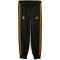 PUMA Galatasaray Istanbul King Anthem Trainingshose Herren 05 - PUMA black S