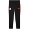 PUMA Galatasaray Istanbul Evostripe Jogginghose Herren 05 - PUMA black M