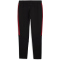 PUMA Galatasaray Istanbul Evostripe Jogginghose Herren 05 - PUMA black M