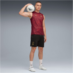 PUMA Galatasaray Istanbul Trainingsshorts Herren 10 -...