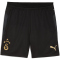 PUMA Galatasaray Istanbul Trainingsshorts Herren 10 - PUMA black XL