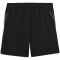 PUMA Galatasaray Istanbul Trainingsshorts Herren 10 - PUMA black XL