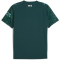 PUMA Manchester City FC 4. Trikot 2025/26 Herren 04 - green terrain M