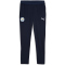 PUMA Manchester City FC Trainingshose 2025/26 Herren 15 - deep navy S
