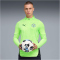 PUMA Manchester City FC Training 1/4-Zip Trainings-Top 2025/26 Herren 16 - fizzy apple/blue violet S